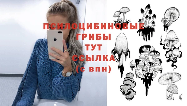 гидропоника Алзамай
