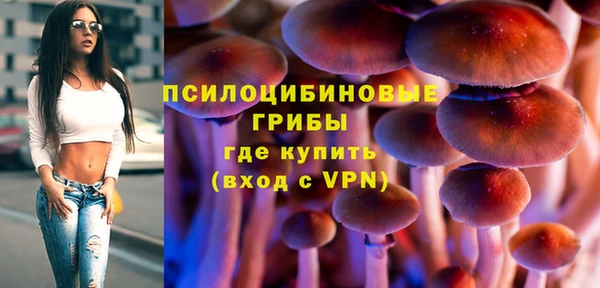 гидропоника Алзамай