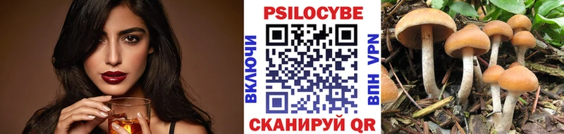 omg зеркало Микунь Псилоцибиновые грибы MAGIC MUSHROOMS